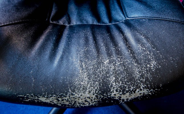 Weekly Photo Challenge: Habit