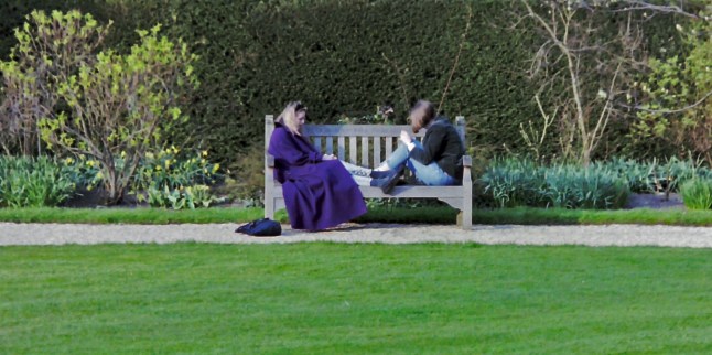 Friends talking on a park bench
